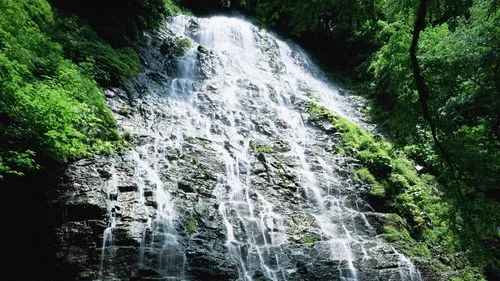 科技智能